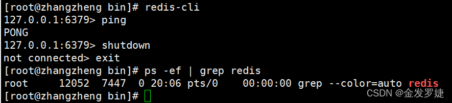 Linux（centos7.6) 安装Redis6 【百试不爽】附报错情况及解决方案