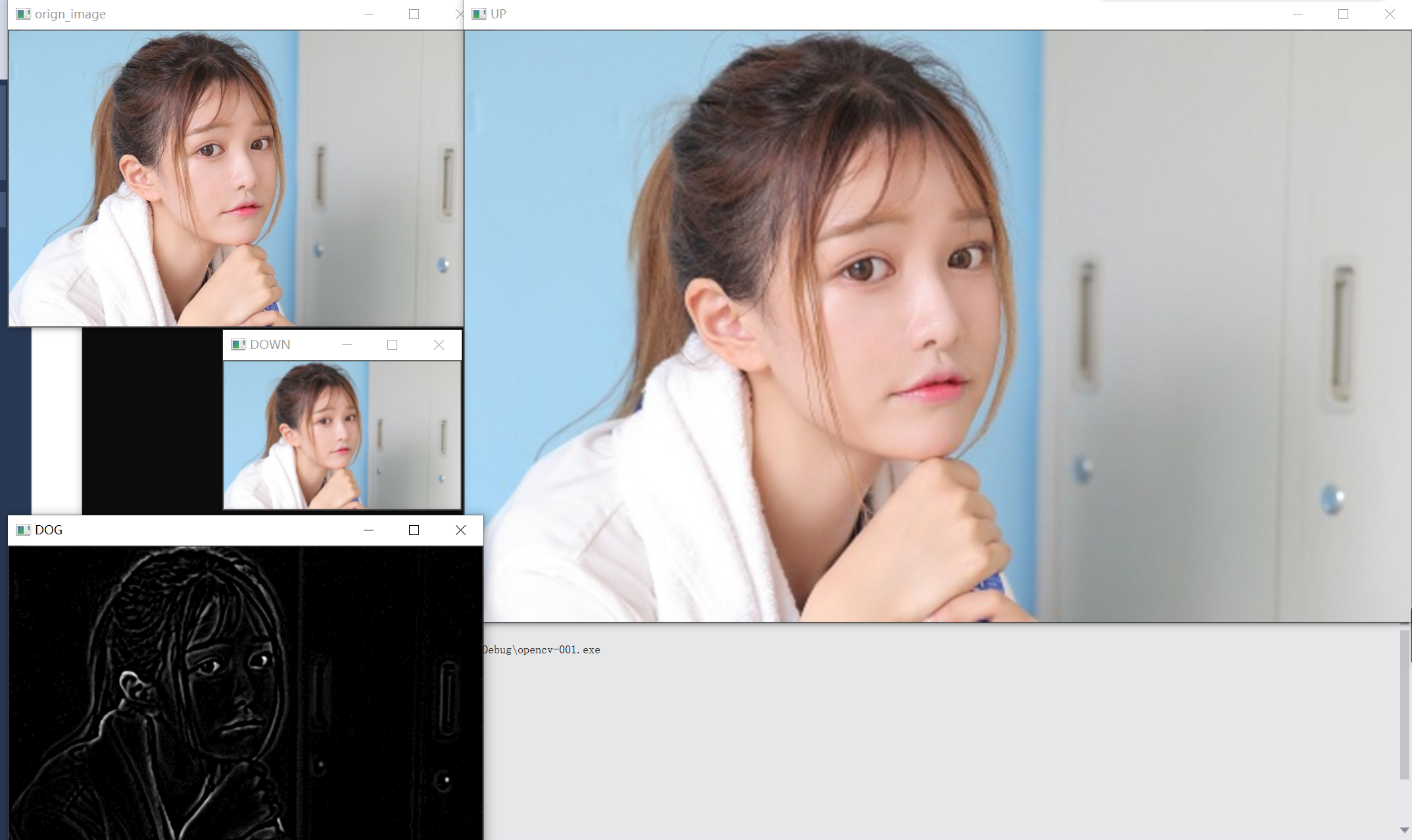 OpenCV 图像上采样和降采样
