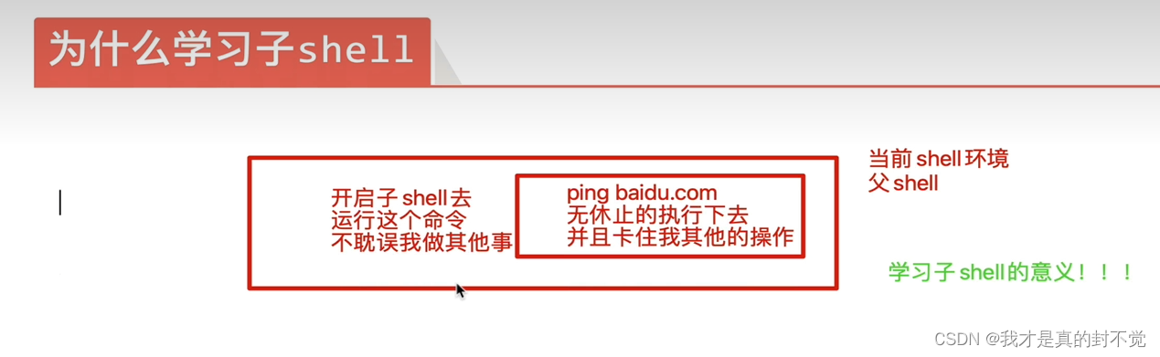 Shell最全笔记 就决定用你了