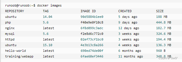 使用命令 docker images 