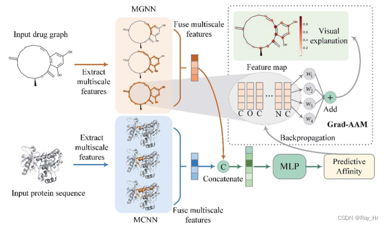 MGraphDTA