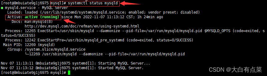 查看 MySQL 运行状态，成功