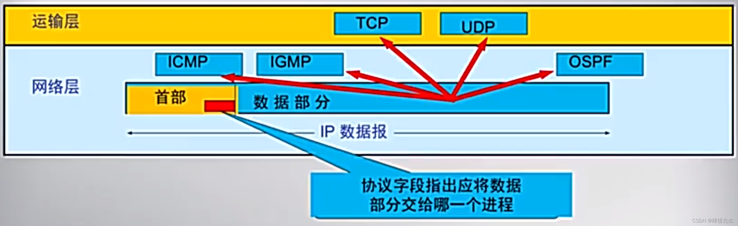 5.2.3 IP数据报（一）IP数据报的格式