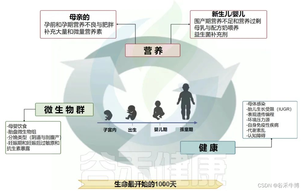 肠道微生物群、营养与长期疾病风险：母婴视角