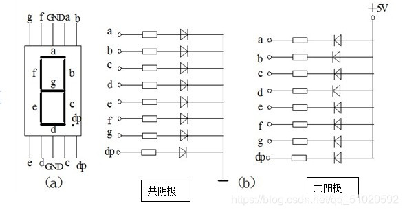 八段数码管的共阴极和共阳极