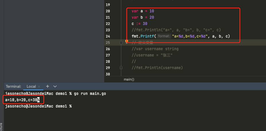 Golang 基础（一）：安装、IDE、fmt、变量_gofmt 安装-CSDN博客