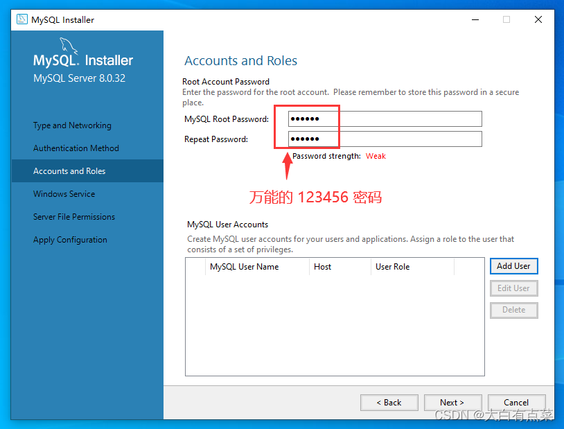 The ROOT user sets a universal 123456 password.