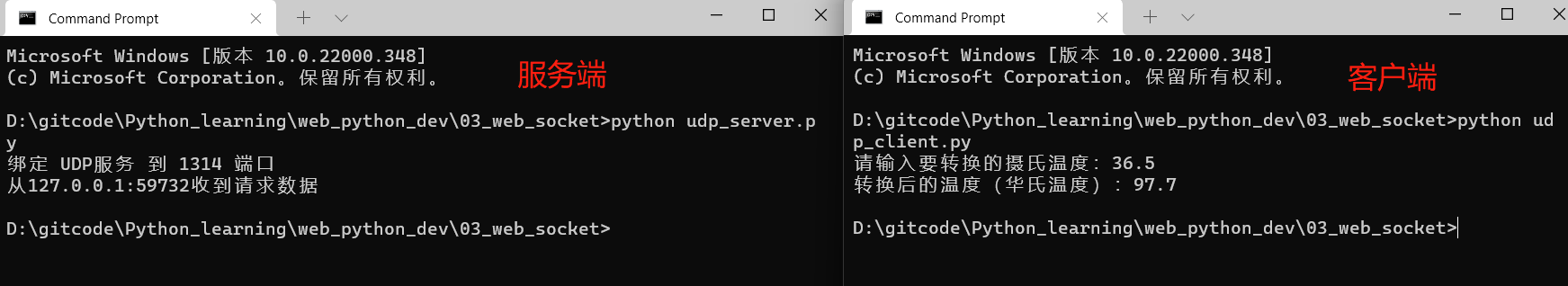 python web开发 网络编程 TCP/IP UDP协议