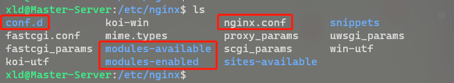 /etc/nginx