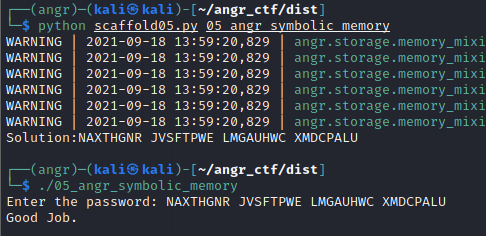 Angr 内存符号化 05_angr_symbolic_memory