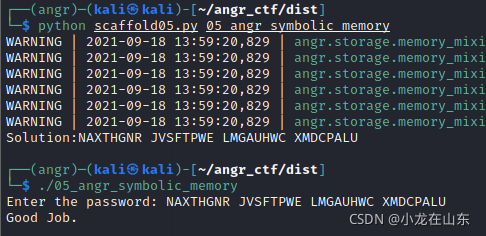 Angr 内存符号化 05_angr_symbolic_memory
