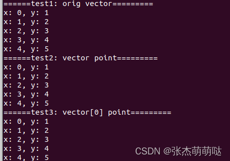 C++ 指向vector[0]的指针