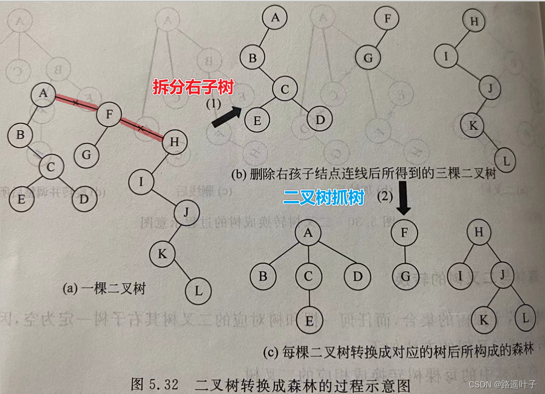 【数据结构】树与森林【树、二叉树、森林间的互转】