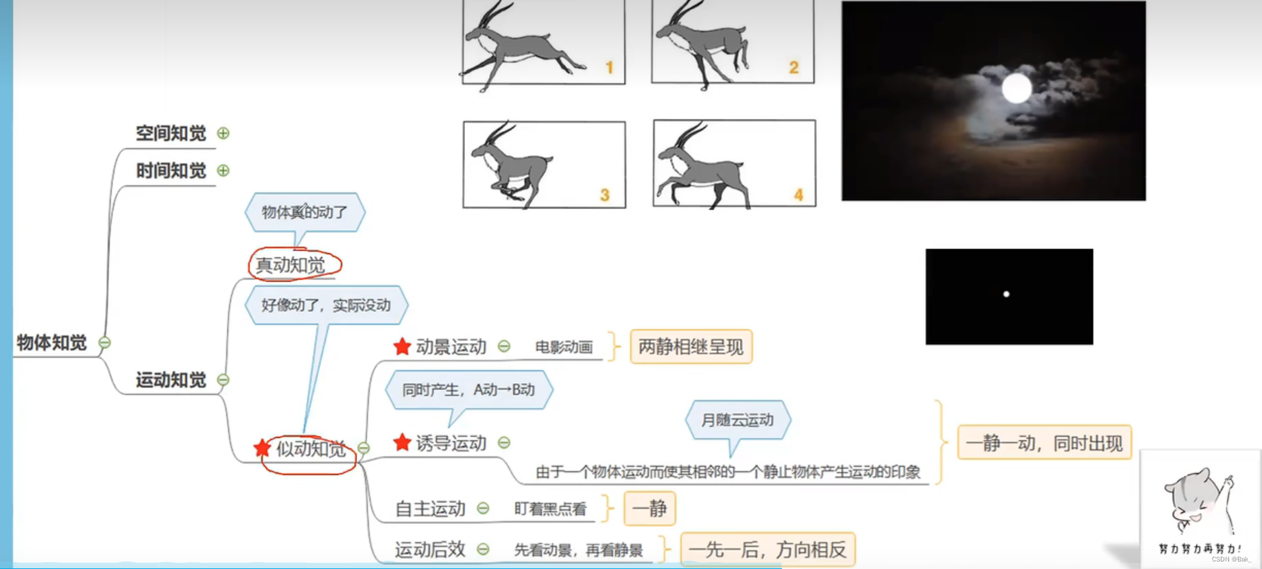 4.1.1 认知过程之感觉和知觉【理解】-CSDN博客