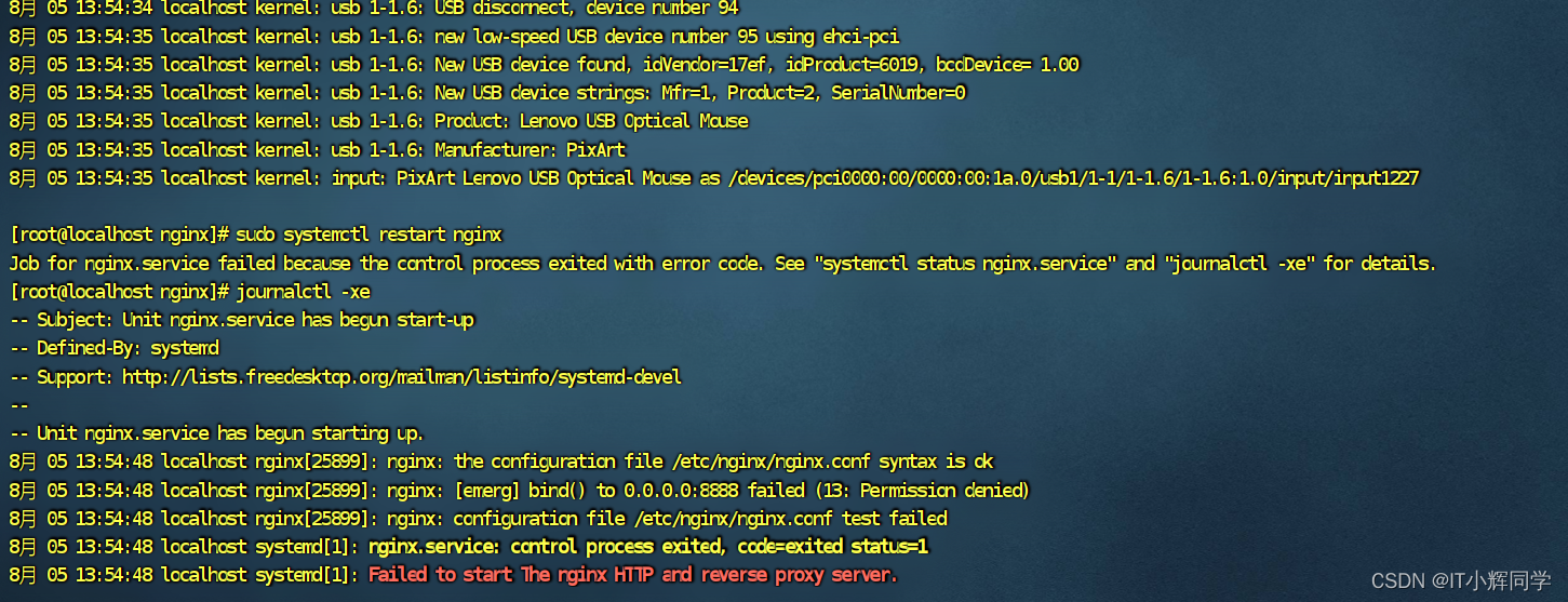 Nginx启动报错- Failed to start The nginx HTTP and reverse proxy server
