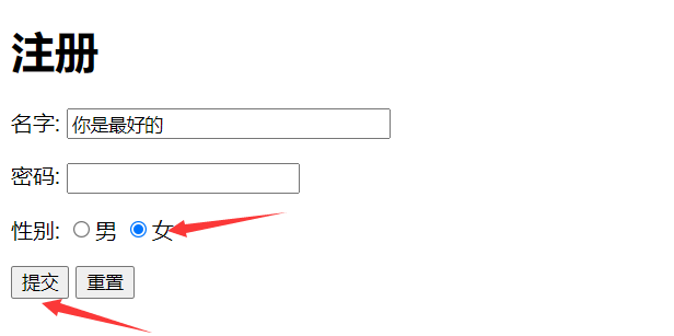 HTML文本框和单选框