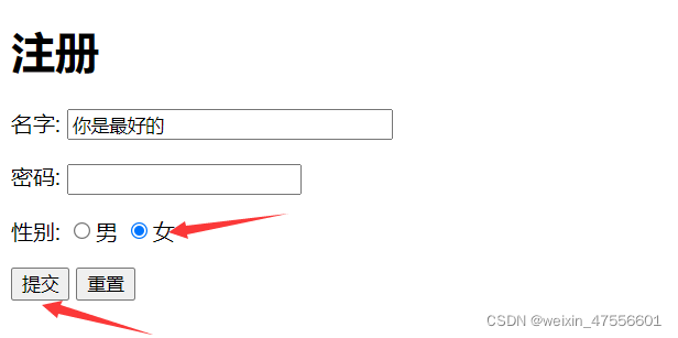 HTML文本框和单选框