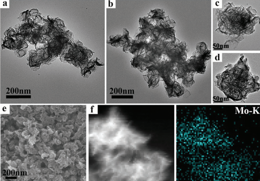 巯基乙胺修饰的氧化石墨烯(GO-SH)二氧化锰(MnO2)纳米片杂化水凝胶-瑞禧