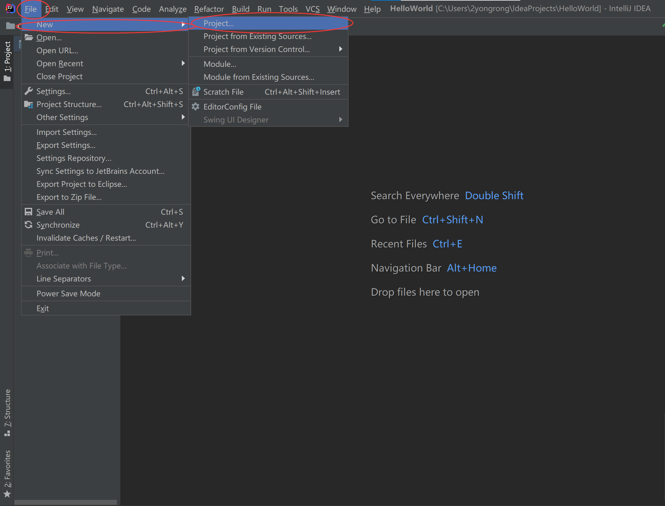 Java 第一个程序 打印 “HelloWorld“_java 按下按钮 打印helloworld-CSDN博客