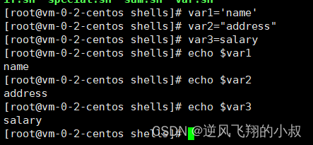 【linux】shell 编程之字符串与数组