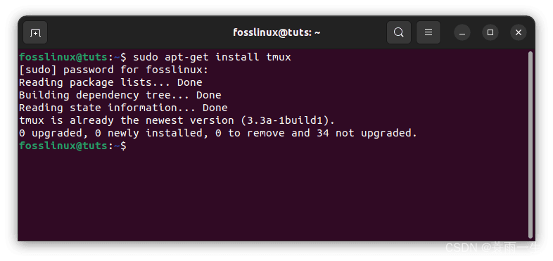 Ubuntu安装Tmux