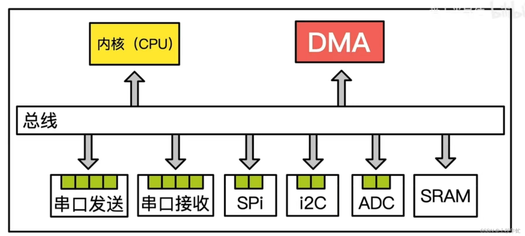 十行代码，就能真正让你理解DMA(CPU的秘书)