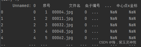 python数据处理之pandas.read_csv()用法详解_python pandas decimal: optional[str ...