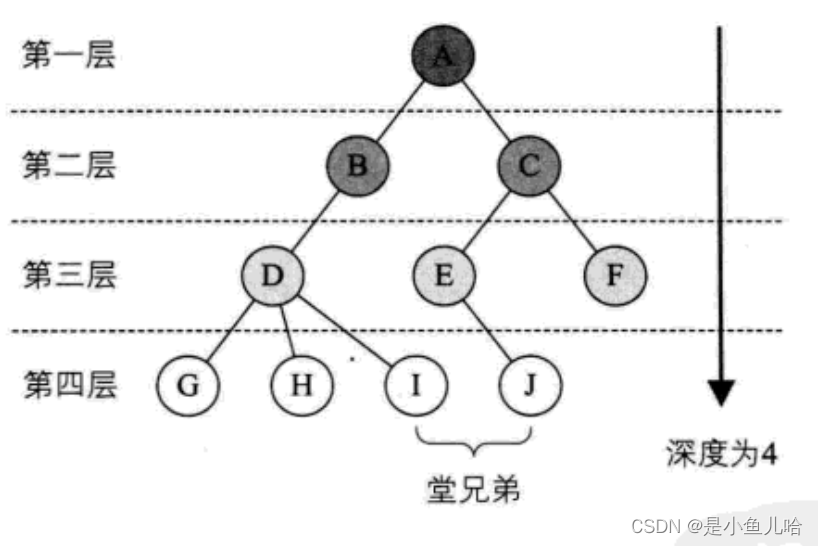 《Java数据结构》这些树和二叉树的性质你还记得吗？