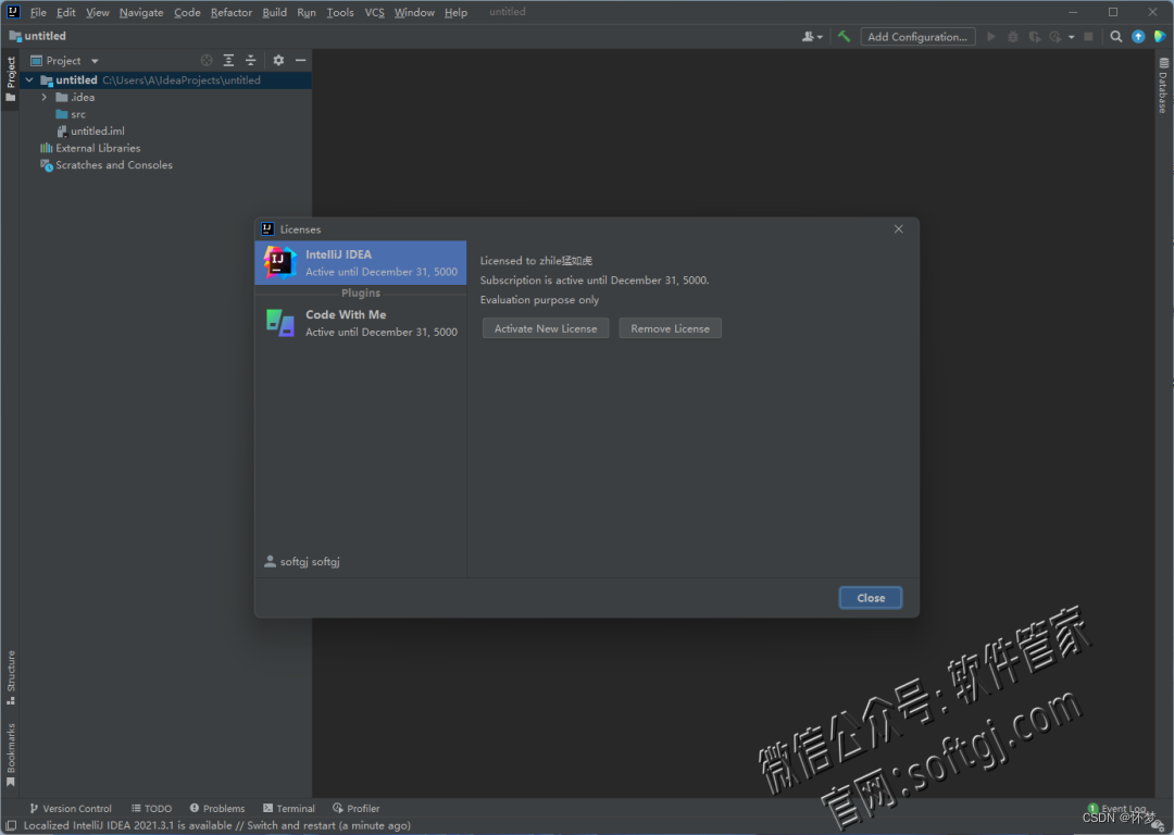 IntelliJ IDEA2021安装教程