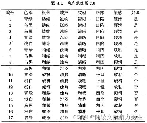 数据集