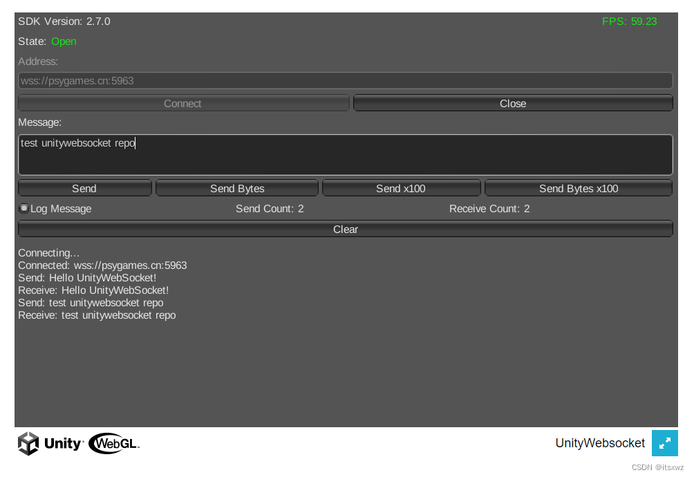 UnityWebSocket | 双端通信支持Text/Binary