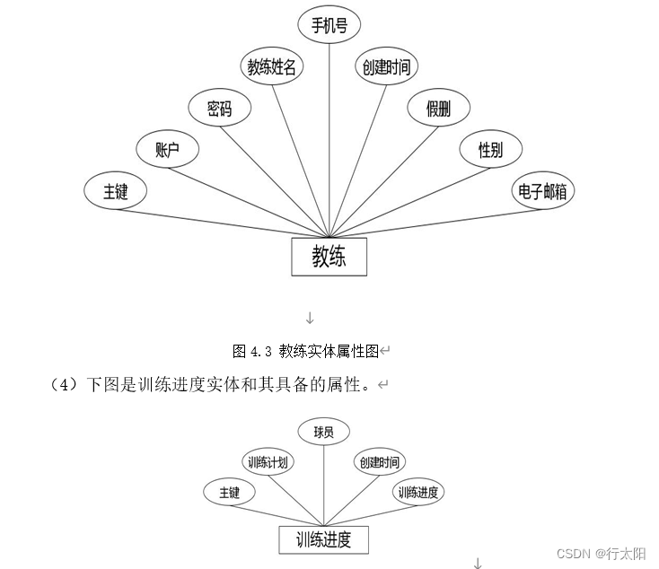 Springboot+vue的球队训练信息管理系统（有报告），Javaee项目，springboot vue前后端分离项目。