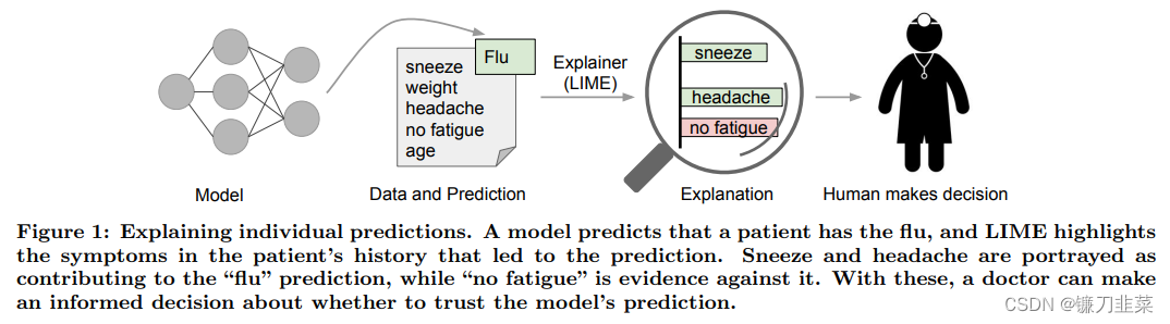 Explaining individual predictions