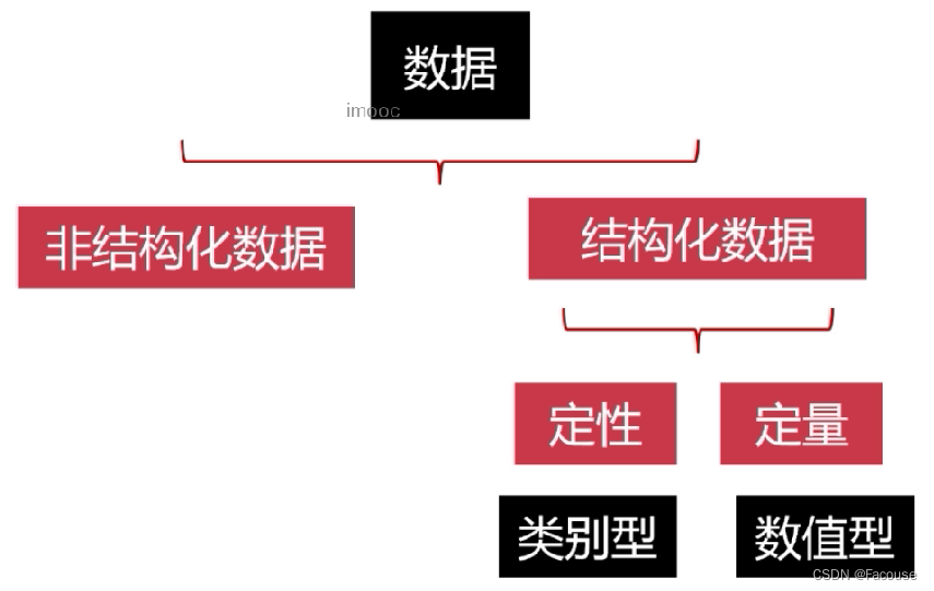 数据类型