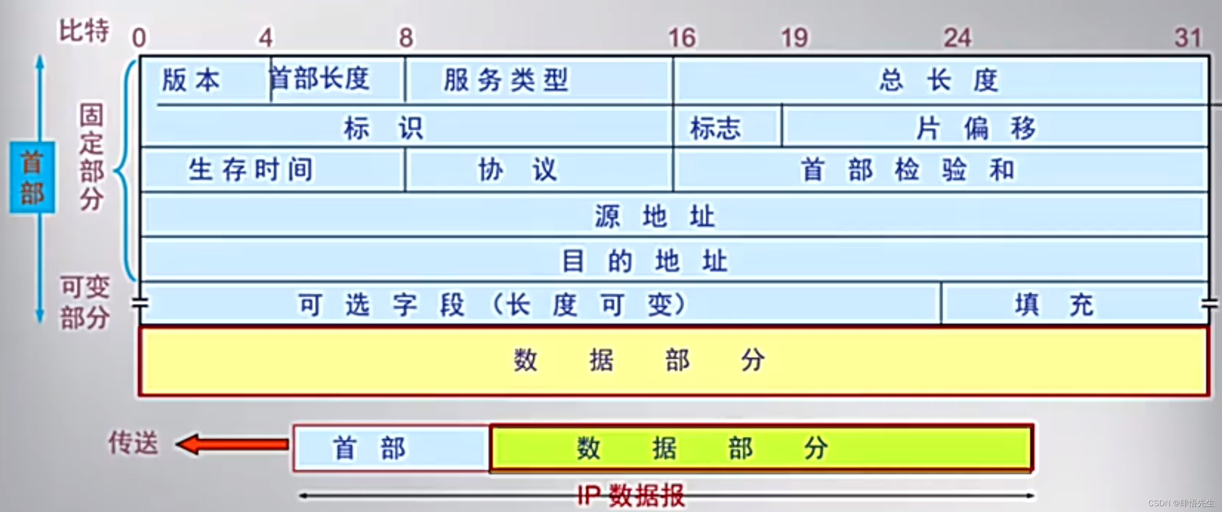 IP数据报