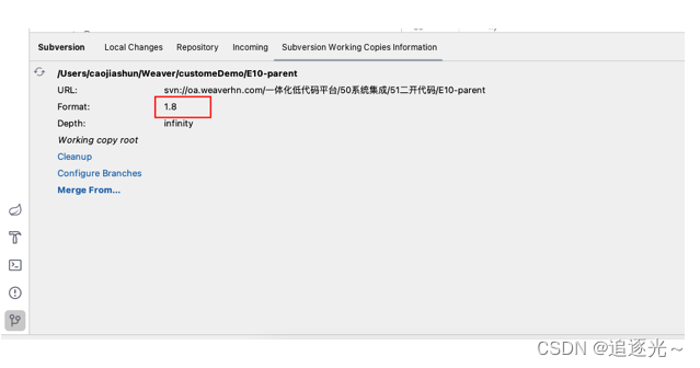 MacBook M1 Idea集成SVN