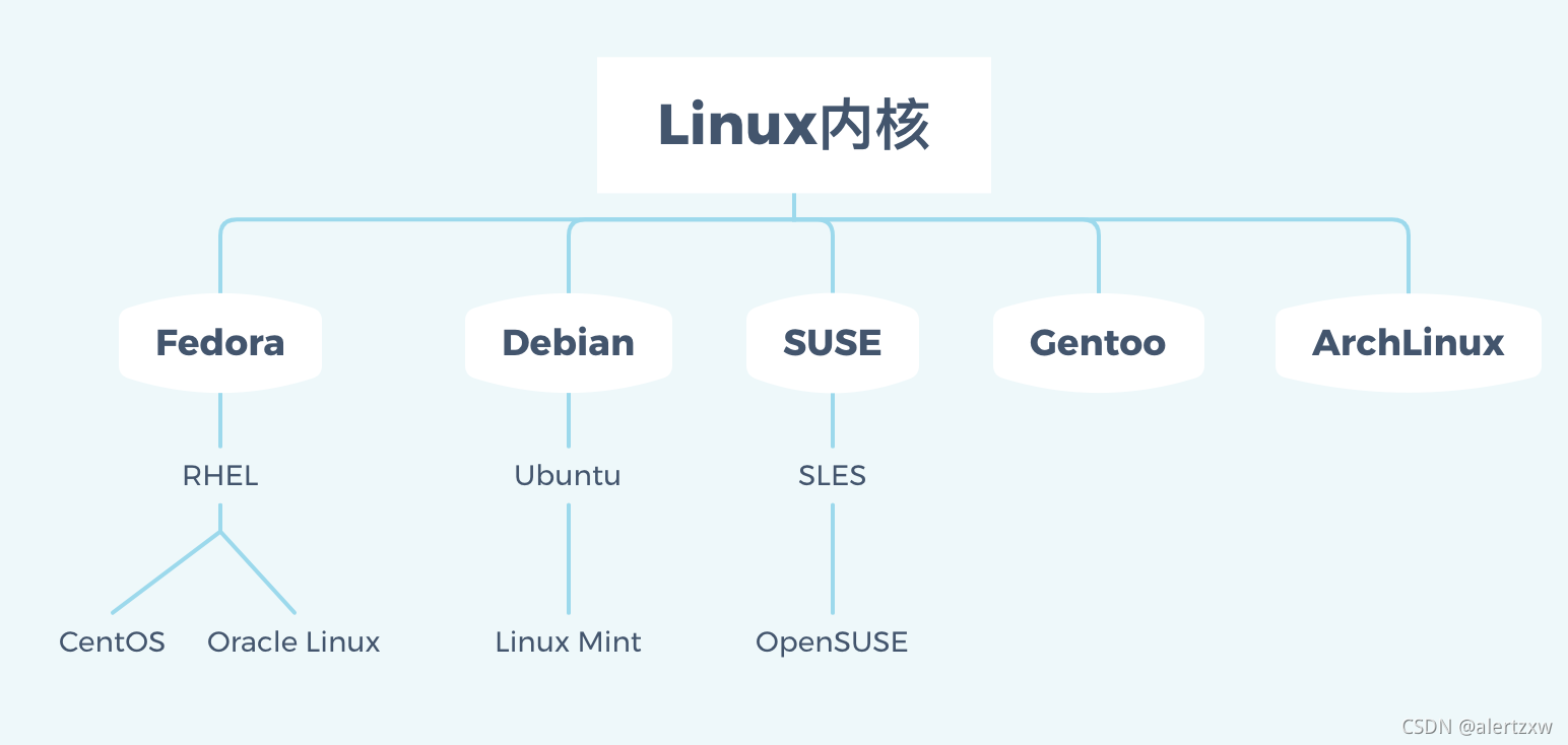 Linux入门（一）- 概述_linux 服务器上安装dumpling-CSDN博客