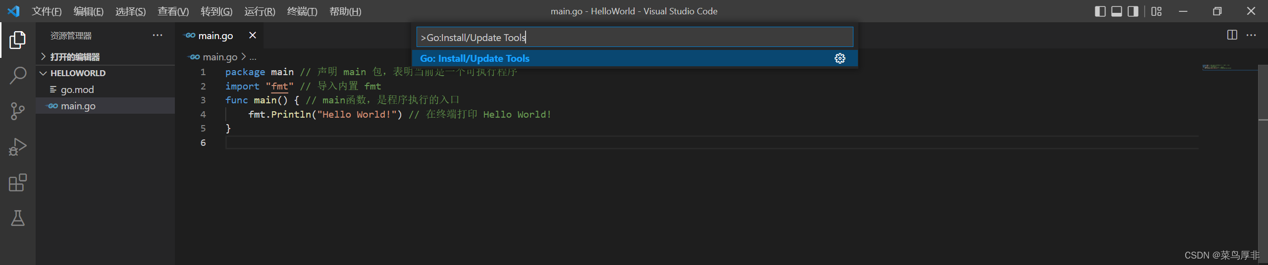 讲一讲VS Code配置GoLang语言开发环境_visual studio code golang-CSDN博客