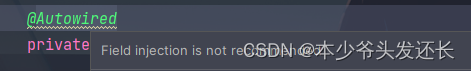 【注解使用】使用@Autowired后提示：Field injection is not recommended（Spring团队不推荐使用Field注入）