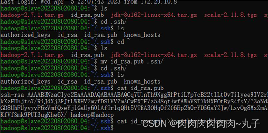 大数据技术——搭建spark集群出现的问题