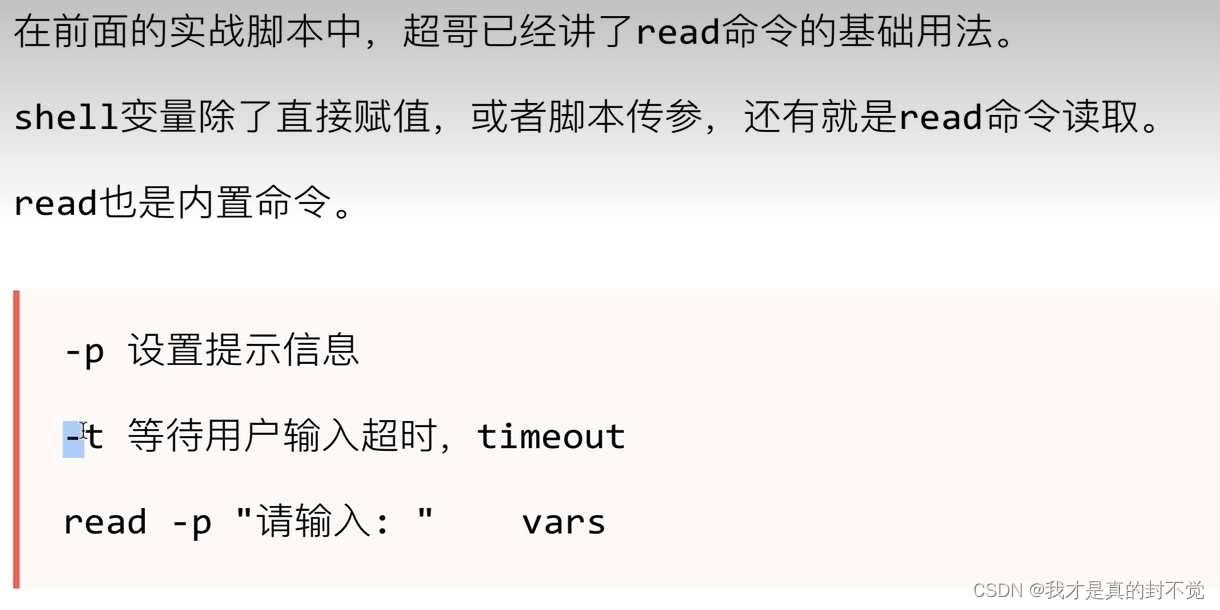 Shell最全笔记 就决定用你了