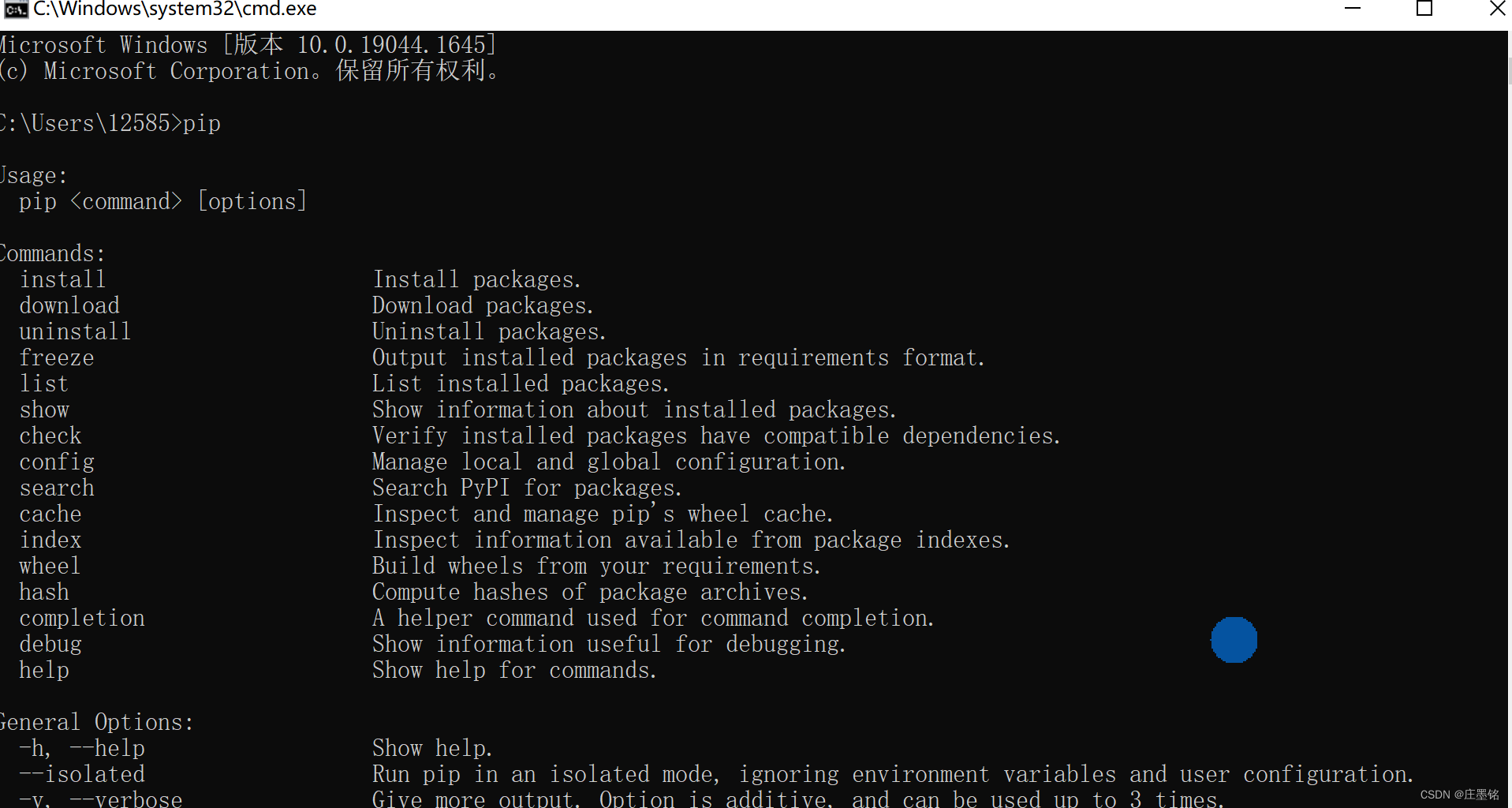 Python pip保姆级环境变量设置