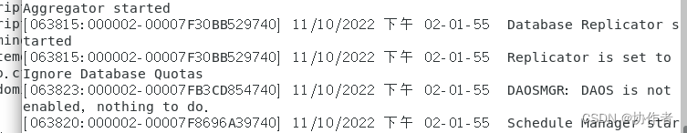 Domino中的时间日期格式设置