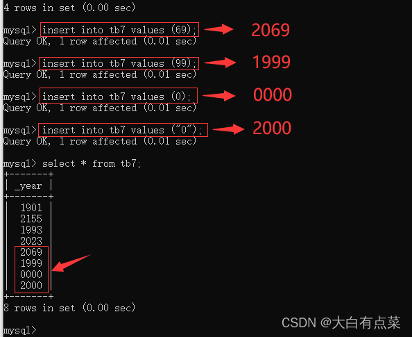 插入2 位数年份数字、0 和 “0”字符串，会转换为 4 位数年份。