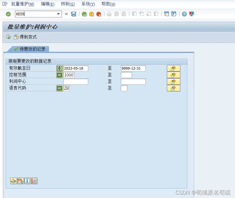 SAP 批量维护主数据（供应商、客户、物料、科目、利润中心）（TCODE:XD99、XK99等）