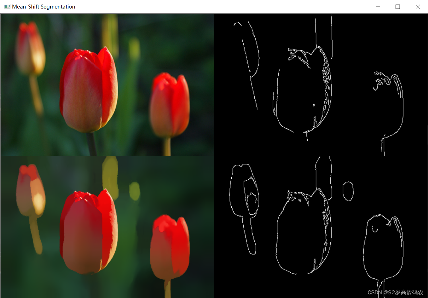 Mean-Shift Segmentation