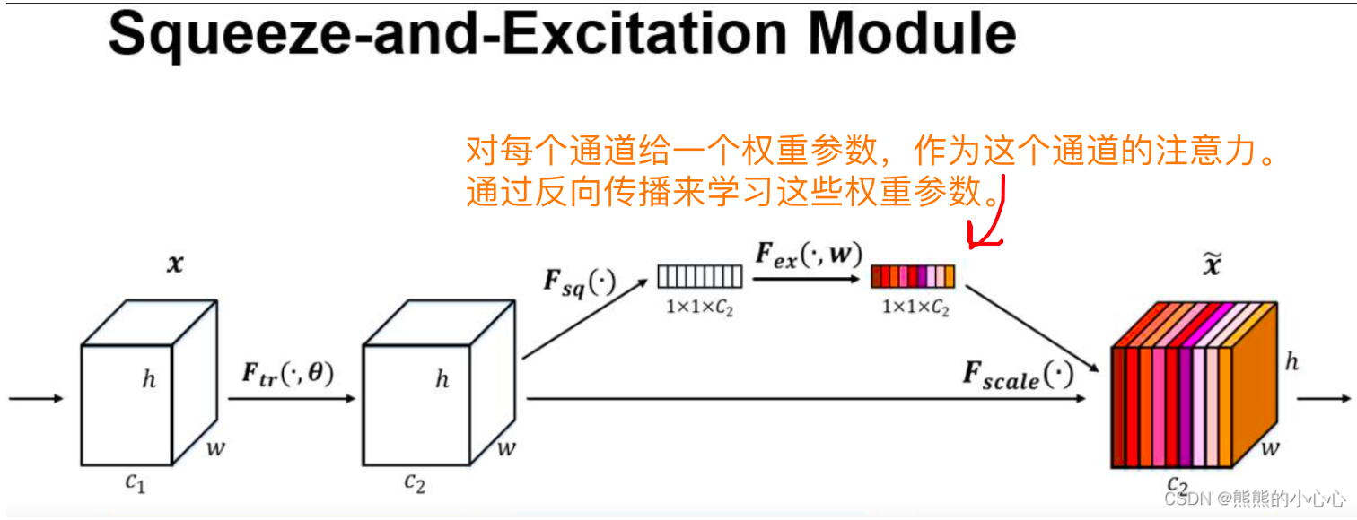 [总结] SEnet