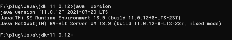Windows下安装JDK11（详细）