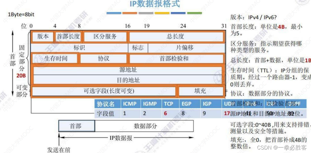 【网络层】动态路由算法、自治系统AS、IP数据报格式