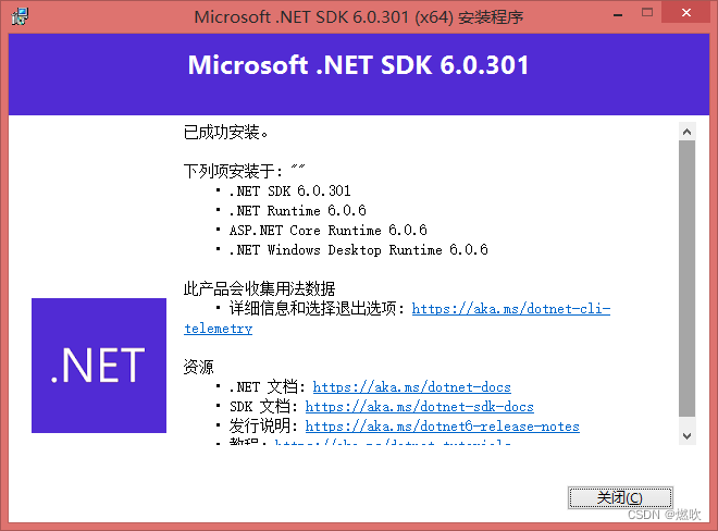 安装 .NET Code SDK